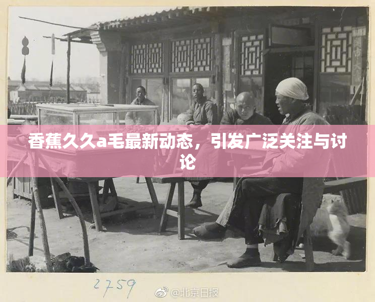 香蕉久久a毛最新动态，引发广泛关注与讨论