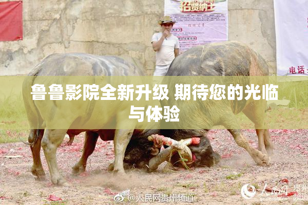 鲁鲁影院全新升级 期待您的光临与体验