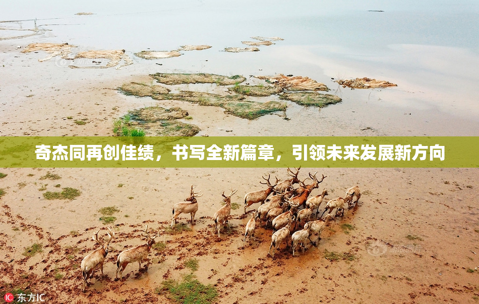 奇杰同再创佳绩，书写全新篇章，引领未来发展新方向