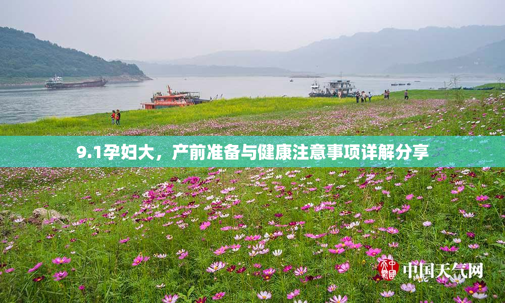 9.1孕妇大，产前准备与健康注意事项详解分享