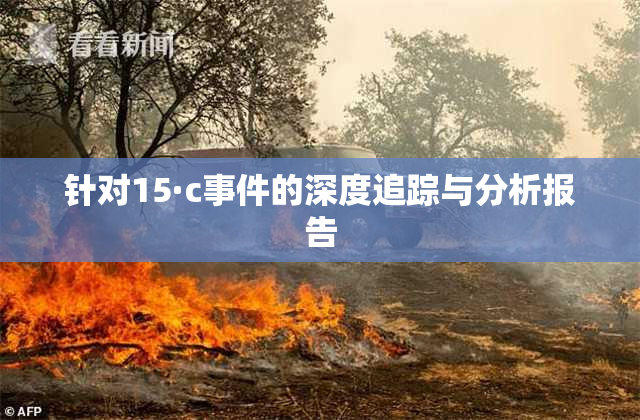 针对15·c事件的深度追踪与分析报告