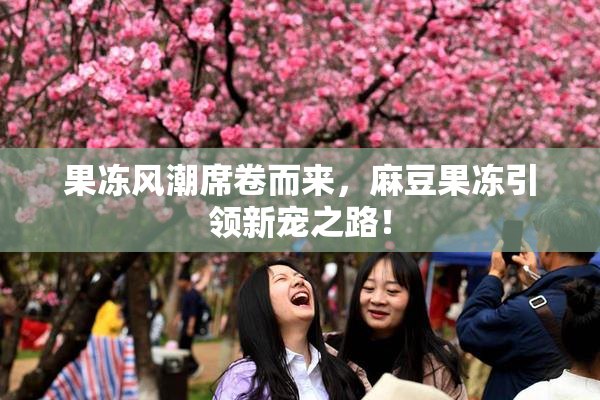 果冻风潮席卷而来，麻豆果冻引领新宠之路！