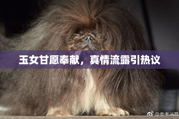 玉女甘愿奉献，真情流露引热议