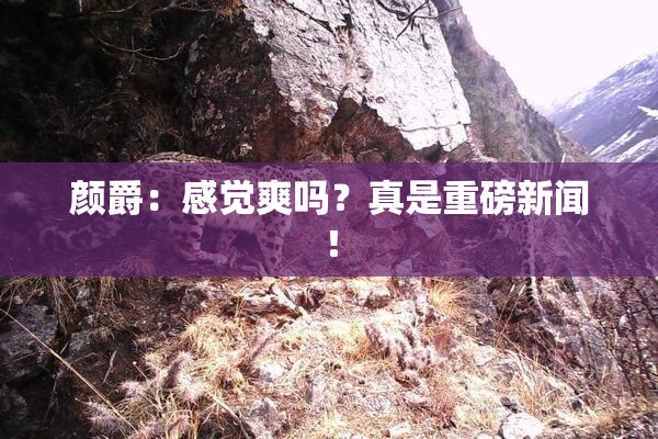 颜爵：感觉爽吗？真是重磅新闻！