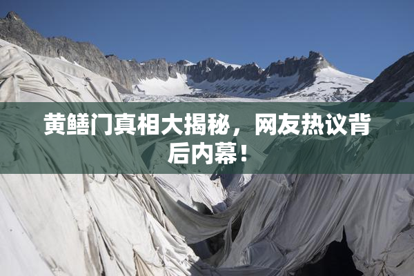 黄鳝门真相大揭秘，网友热议背后内幕！