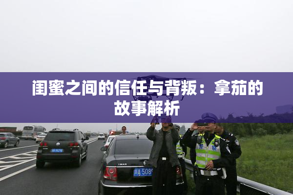 闺蜜之间的信任与背叛：拿茄的故事解析