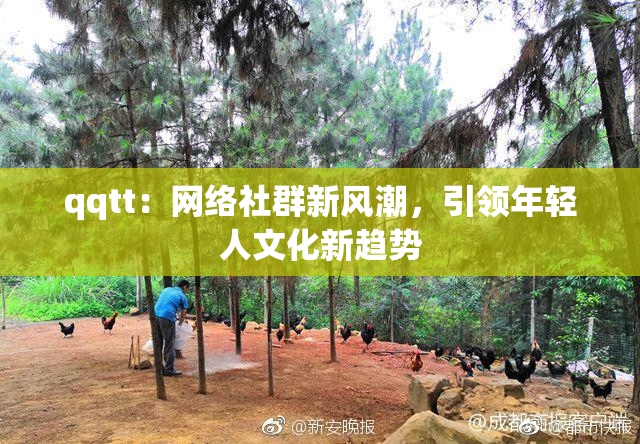 qqtt：网络社群新风潮，引领年轻人文化新趋势