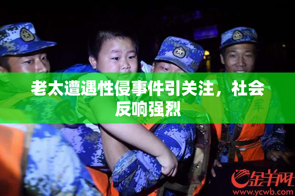 老太遭遇性侵事件引关注，社会反响强烈