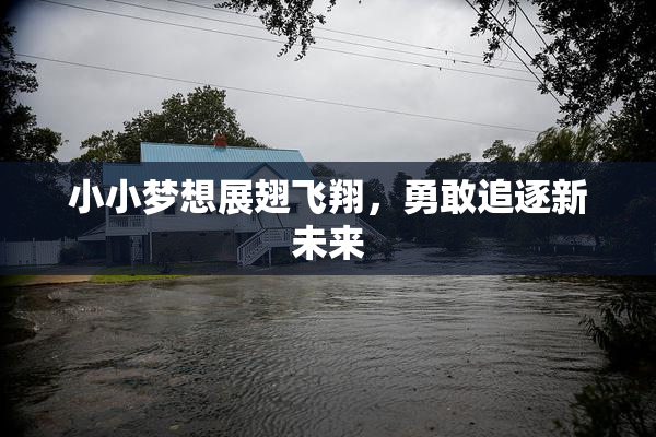 小小梦想展翅飞翔，勇敢追逐新未来