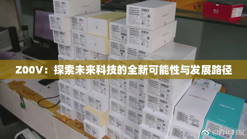 Z00V：探索未来科技的全新可能性与发展路径