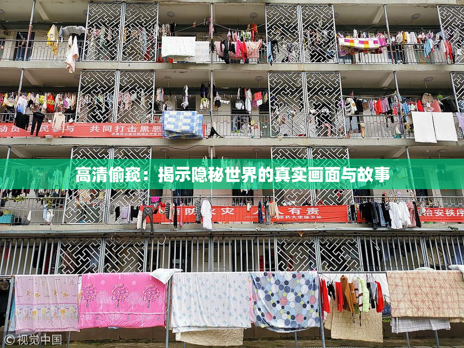 高清偷窥：揭示隐秘世界的真实画面与故事