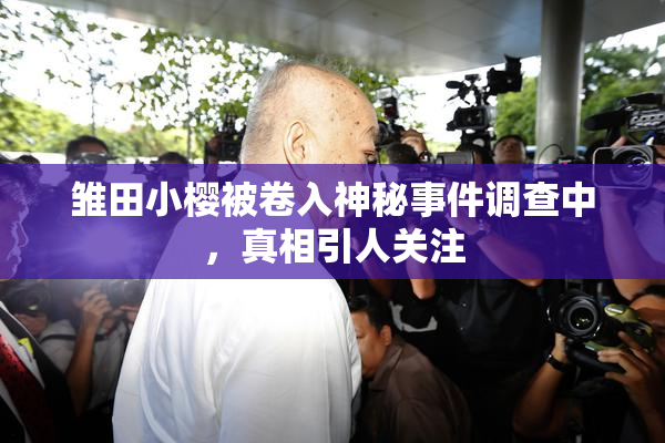 雏田小樱被卷入神秘事件调查中，真相引人关注
