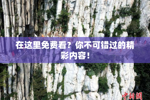 在这里免费看？你不可错过的精彩内容！