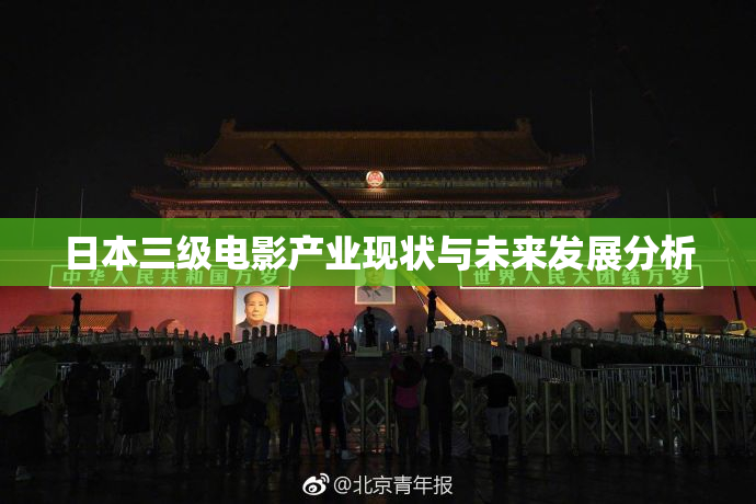 日本三级电影产业现状与未来发展分析