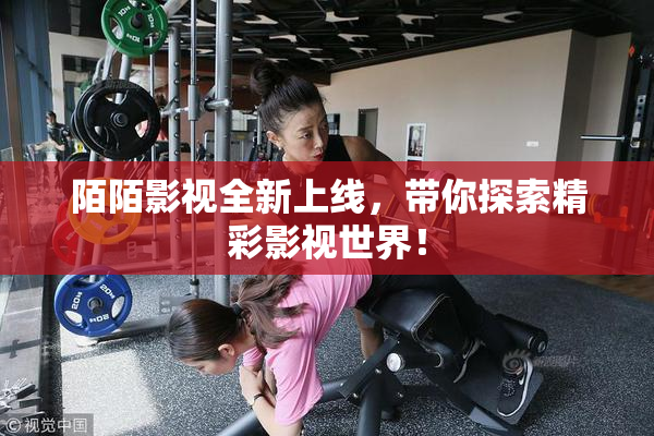 陌陌影视全新上线，带你探索精彩影视世界！