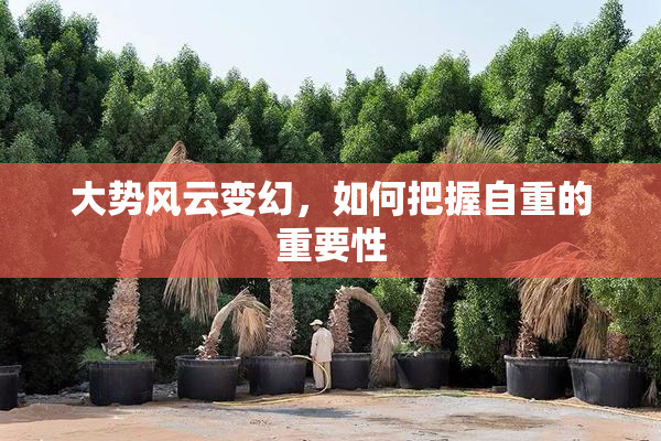 大势风云变幻，如何把握自重的重要性