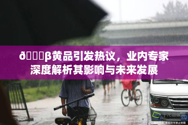 🔞β黄品引发热议，业内专家深度解析其影响与未来发展