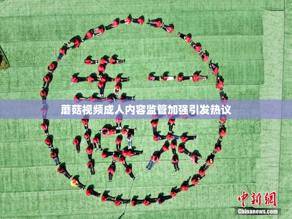蘑菇视频成人内容监管加强引发热议