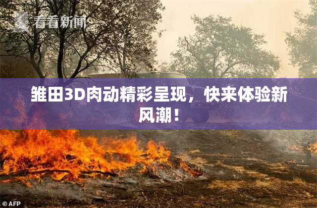 雏田3D肉动精彩呈现，快来体验新风潮！