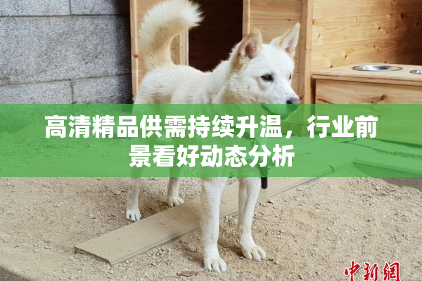 高清精品供需持续升温，行业前景看好动态分析
