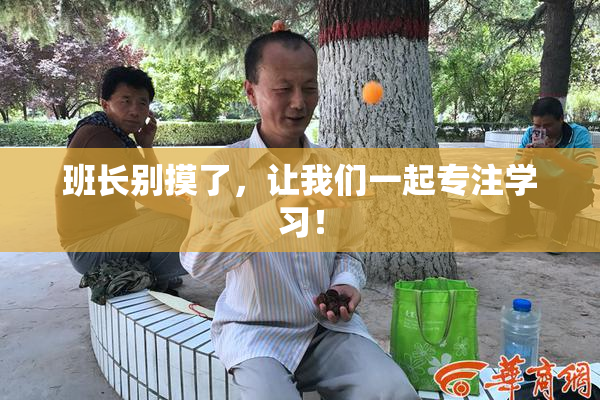 班长别摸了，让我们一起专注学习！