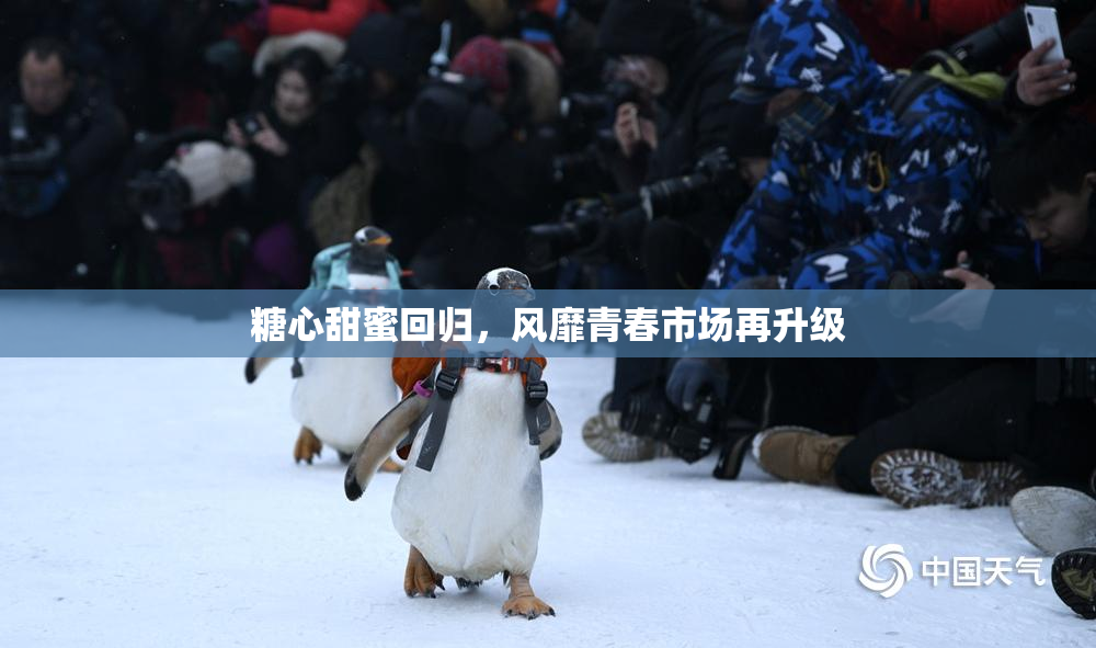 糖心甜蜜回归，风靡青春市场再升级