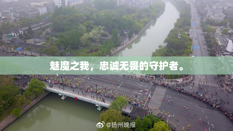魅魔之我，忠诚无畏的守护者。
