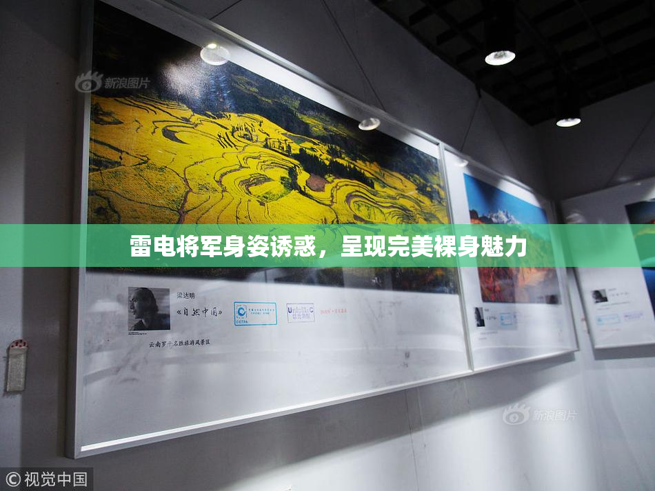 雷电将军身姿诱惑，呈现完美裸身魅力