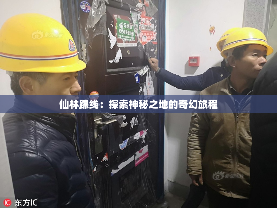 仙林踪线：探索神秘之地的奇幻旅程