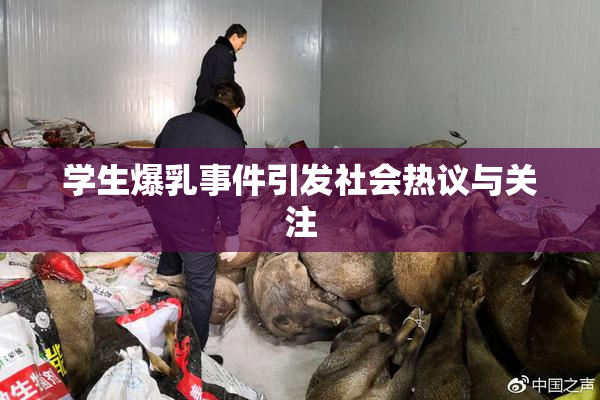 学生爆乳事件引发社会热议与关注
