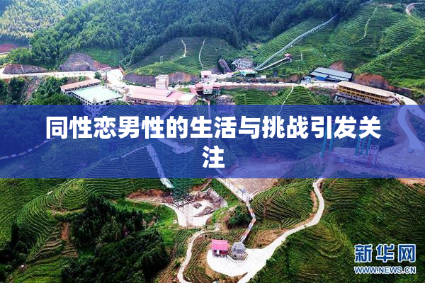 同性恋男性的生活与挑战引发关注