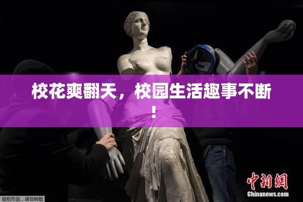 校花爽翻天，校园生活趣事不断！