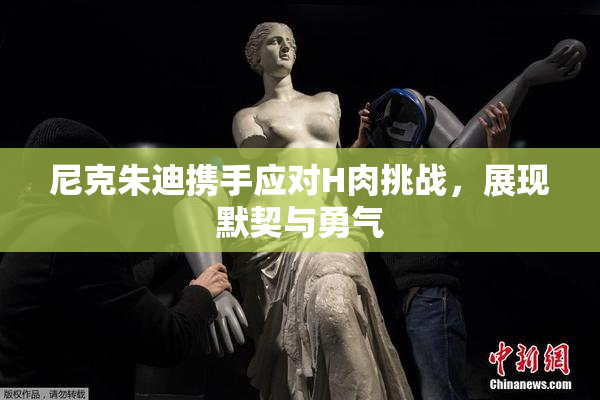 尼克朱迪携手应对H肉挑战，展现默契与勇气