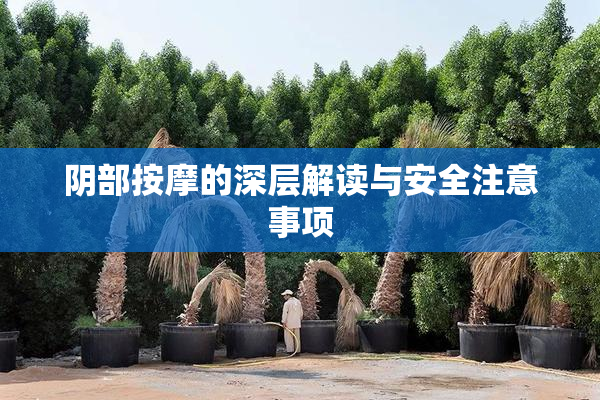 阴部按摩的深层解读与安全注意事项