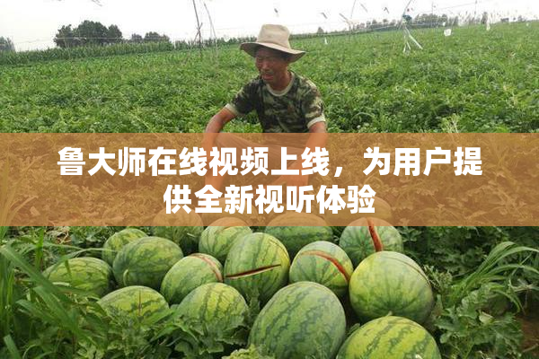 鲁大师在线视频上线，为用户提供全新视听体验