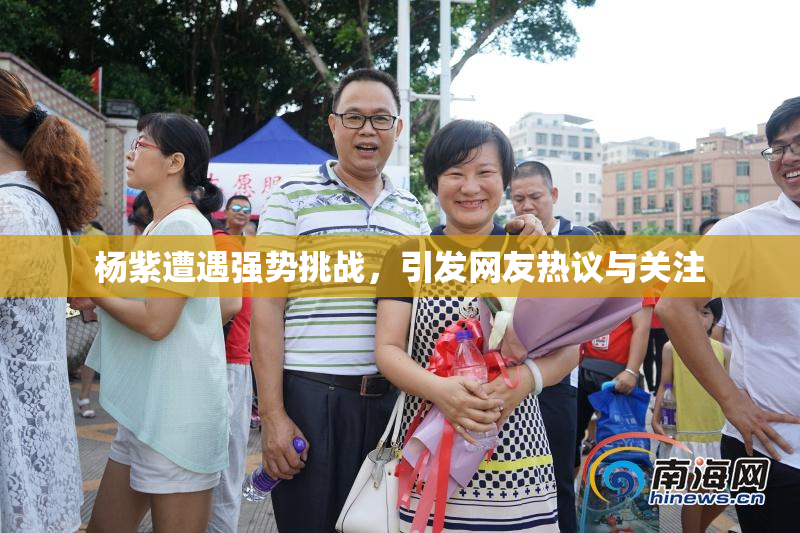 杨紫遭遇强势挑战，引发网友热议与关注