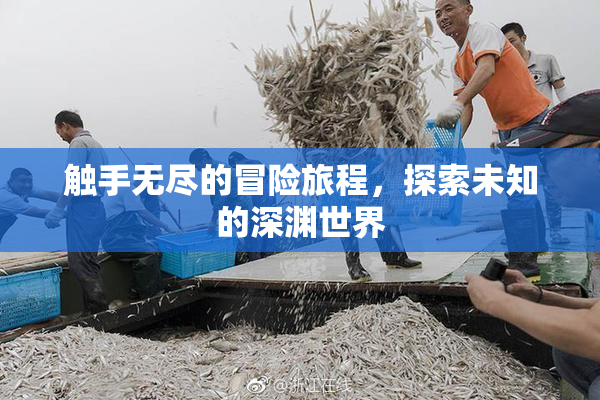 触手无尽的冒险旅程，探索未知的深渊世界