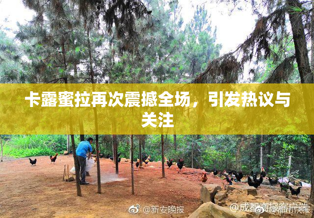 卡露蜜拉再次震撼全场，引发热议与关注