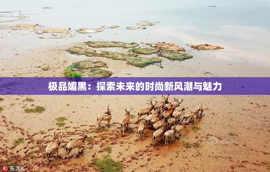 极品媚黑：探索未来的时尚新风潮与魅力