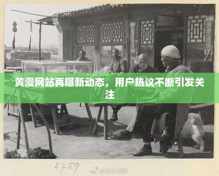 黄漫网站再曝新动态，用户热议不断引发关注