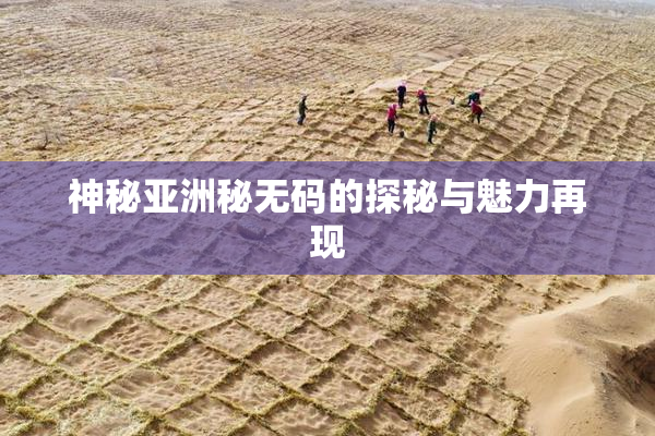 神秘亚洲秘无码的探秘与魅力再现