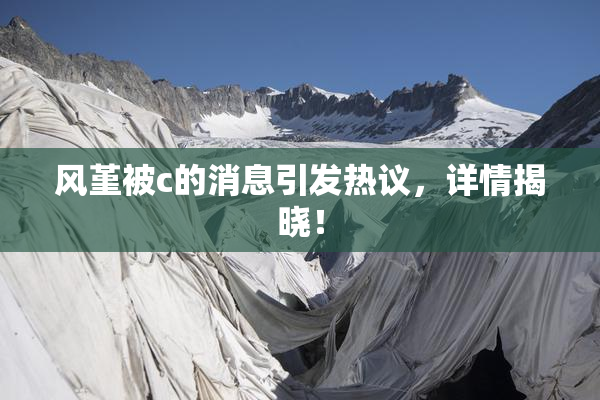 风堇被c的消息引发热议，详情揭晓！