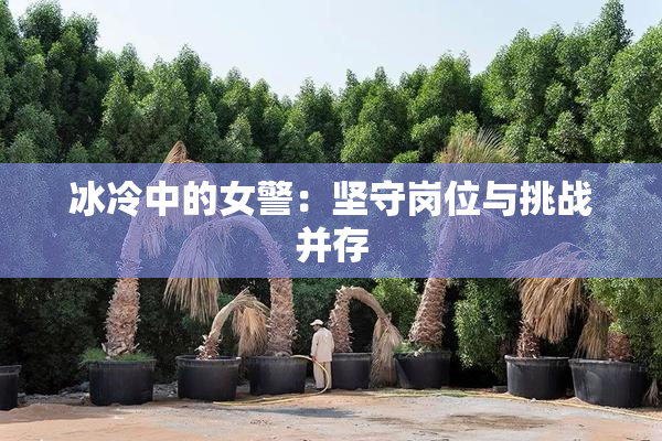 冰冷中的女警：坚守岗位与挑战并存