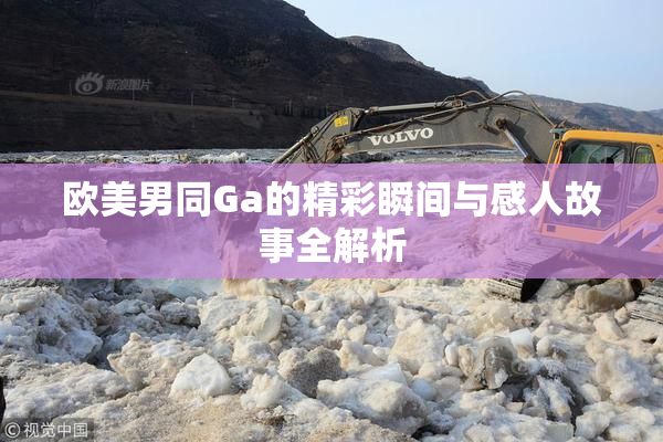 欧美男同Ga的精彩瞬间与感人故事全解析