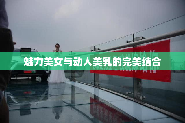 魅力美女与动人美乳的完美结合