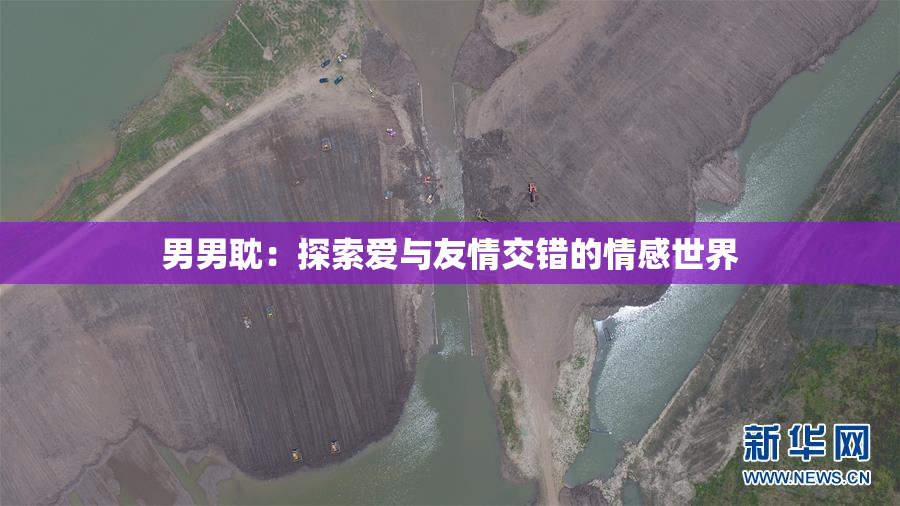 男男耽：探索爱与友情交错的情感世界