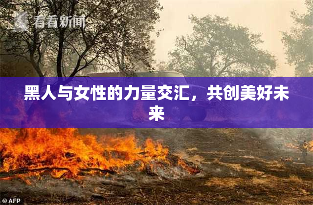 黑人与女性的力量交汇，共创美好未来