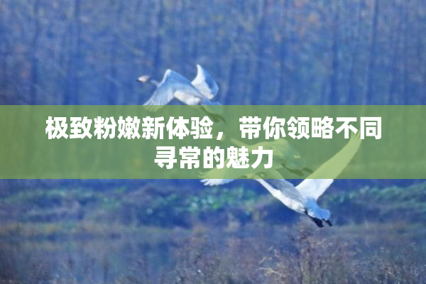 极致粉嫩新体验，带你领略不同寻常的魅力