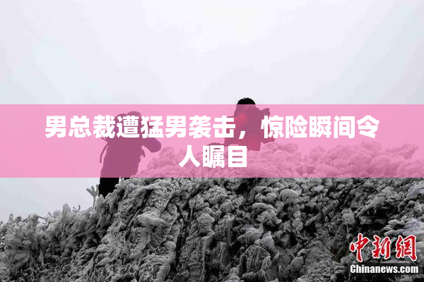 男总裁遭猛男袭击，惊险瞬间令人瞩目