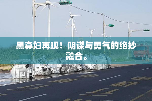 黑寡妇再现！阴谋与勇气的绝妙融合。